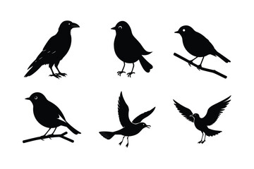 Silhouettes of birds with open wing styles Silhouette Vector illustration