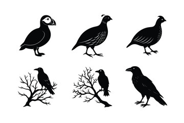 Fototapeta premium Detailed birds flying perched vector icons Silhouette Vector illustration