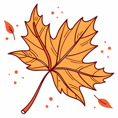 Obraz premium Hand Sketched Autumn Maple Leaves and Seasonal Botanical Vector
