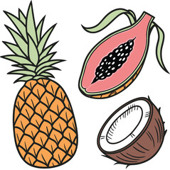 Tropical fruits illustration pineapple papaya coconut