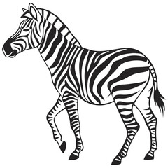 Fototapeta premium Zebra Silhouette – Black Vector Isolated Wildlife Illustration
