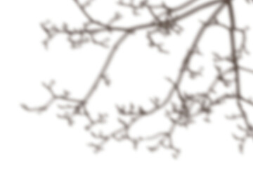 Abstract Dark Brown Branch Silhouette Pattern Background