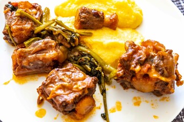 Delicious Brazilian food, oxtail stew with watercress and polenta, a gourmet dish on a white plate