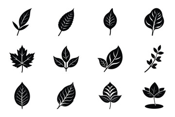 leaf and silhouette vector art on white background