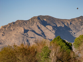 Desert Mountain closeup