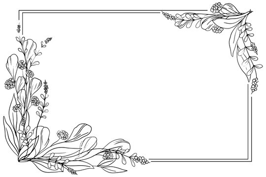 Hand drawn branches of different plants with leaves and flowers. Vector design template for postcard, poster, business card, flyer, magazine, social media post, banner, wedding invitation