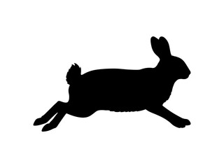 Rabbit hopping silhouette vector flat illustration design.
