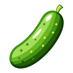 illustration of cucumber