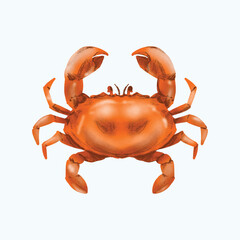 Sea Life Creature Crabs Watercolor Painting 