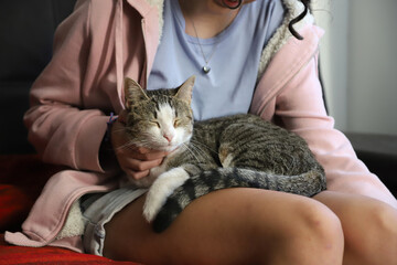 Girl sitting on the sofa at home with her cat sleeping and happy lying on her legs