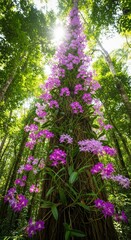 Obraz premium Vibrant purple orchids flourishing on tall tree in sunlit forest canopy