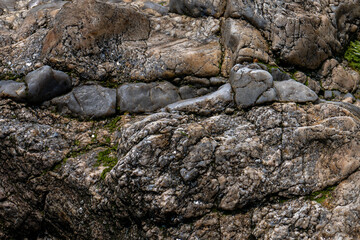 texture de rocher en bord de mer