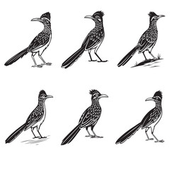 Halloween Black roadrunner bird Printable Graphic