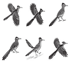 Black roadrunner bird Silhouette Vector Design