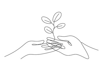 Two hands gently holding a delicate plant sprout
