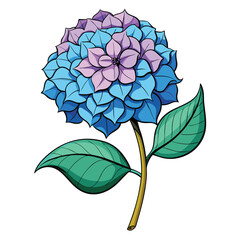 blue hydrangea flowers