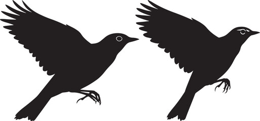 Eurasian skylark flying midair vector illustration