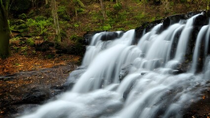 Fototapeta premium Beautiful cascading water flows over rocks in a vibrant green forest, creating a serene natural landscape