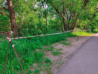 Nature pathway blocked by red and white tape in lush green woodland setting