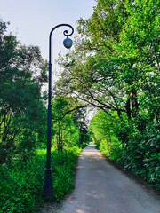 Serene nature pathway with vintage street lamp in lush green park for relaxation and outdoor walks