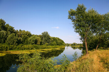 The Khoper River in the Voronezh region on a summer day, a left tributary of the Don. Russia