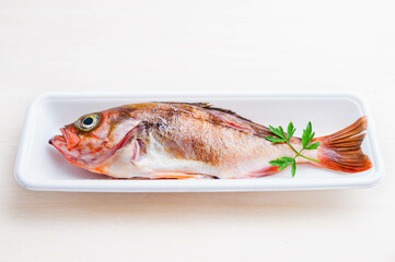 内臓と鱗を取ったメバル　焼き魚用