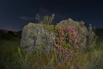 Russia. The South of Western Siberia. Gorny Altai. Night view of the Katun River valley with huge...