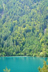 View of green massif with trees above blue lake