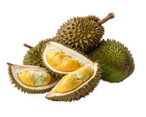 Fototapeta premium durian
