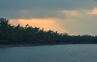 majestic beauty of cloudscape at dusk, over dense forest at Sundarbans Biosphere reserve.. It's the...