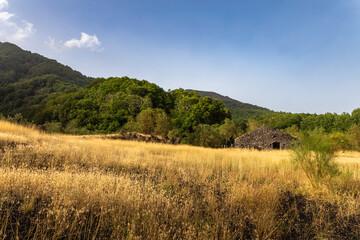 Stone Hut in Meadow