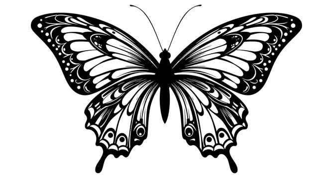 Intricate black and white butterfly design for art projects and decor
