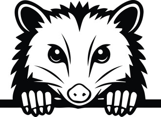 Possum peeking - hedgehog peeking design isolated on transparent background