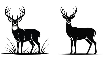 silhouette of deer
