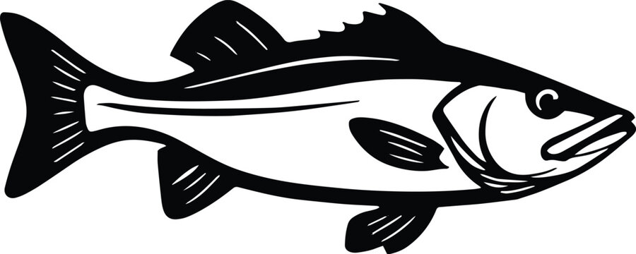 Snook fish design - Fish isolated on transparent background
