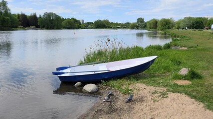 A plastic boat is moored on the lake shore next to a sandy beach, rocks and reeds. On the far shore are houses and trees. There are ripples on the water. Canopies and sunbeds are set up on the grass - Powered by Adobe