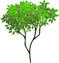 Fototapeta premium Blooming Botanical Beauty: This illustration showcases a vibrant tree in full bloom, with lush green foliage and delicate purple blossoms. Evoking feelings of springtime and natural beauty. 