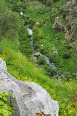Matera, Italy. Lush green view of the Gravina torrent along path 406 in Murgia Materana Park, near the Sassi di Matera, Italy. A peaceful stream winds through rocky hills and wildflowers.