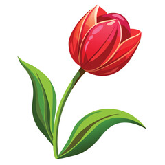 Tulip flower vector art illustration