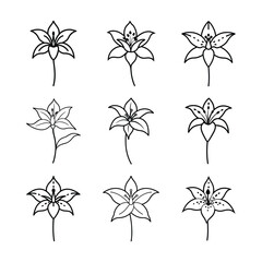 Tiger Lily Line Art Vector Set Collection