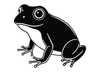 Vector illustration of a frog