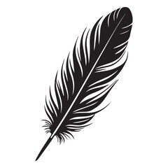 Obraz premium Black and white single feather illustration