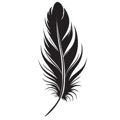 Obraz premium Single black feather silhouette illustration