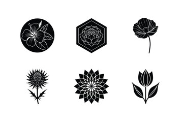 Six black and white floral designs set