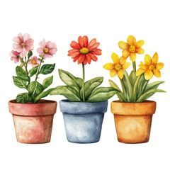 Flower Pots, watercolor drawing vector, isolated on a white background.