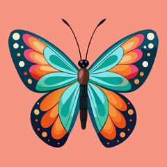 Top view over butterfly isolated