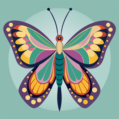 Top view over butterfly isolated