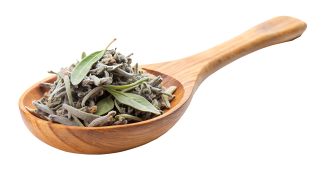 A wooden spoon holds a pile of dried sage leaves some leaves are light graygreen others are a deeper green the leaves are slightly textured and appear dry isolated on a transparent background