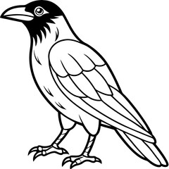 Crow line art vector