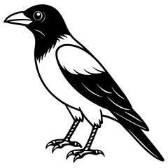Crow line art vector
